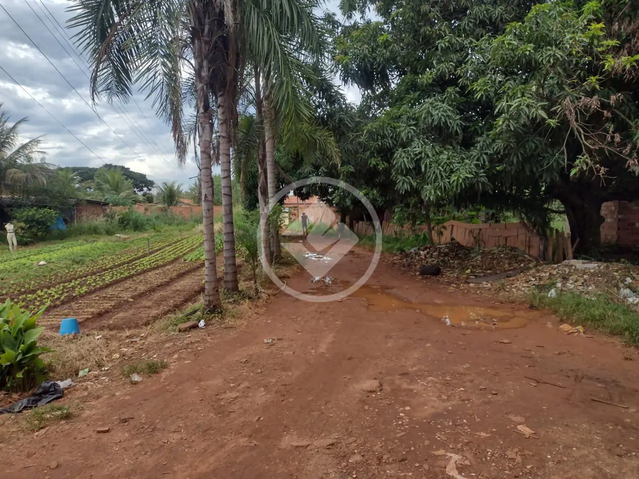 Imagem 6 - Terreno em Setor Urias Magalhães, Goiânia - GO
