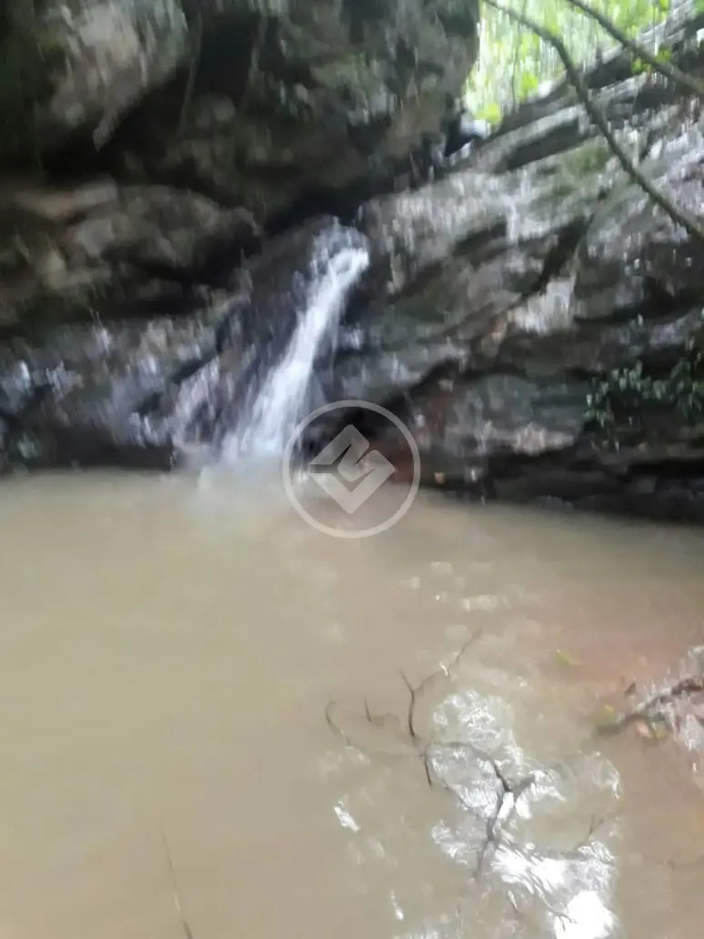 Imagem 3 - Fazenda em Zona Rural, Cocalzinho de Goiás - GO
