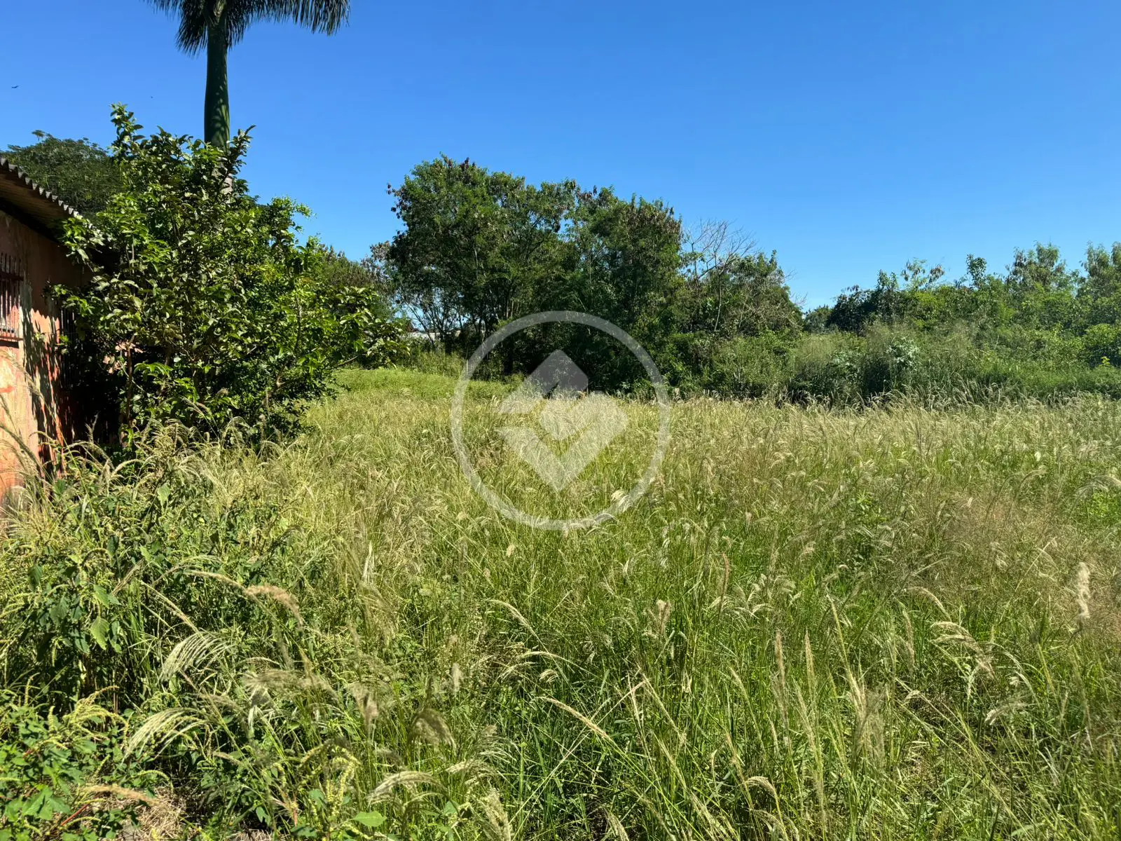 Imagem 4 - Terreno em Setor Urias Magalhães, Goiânia - GO