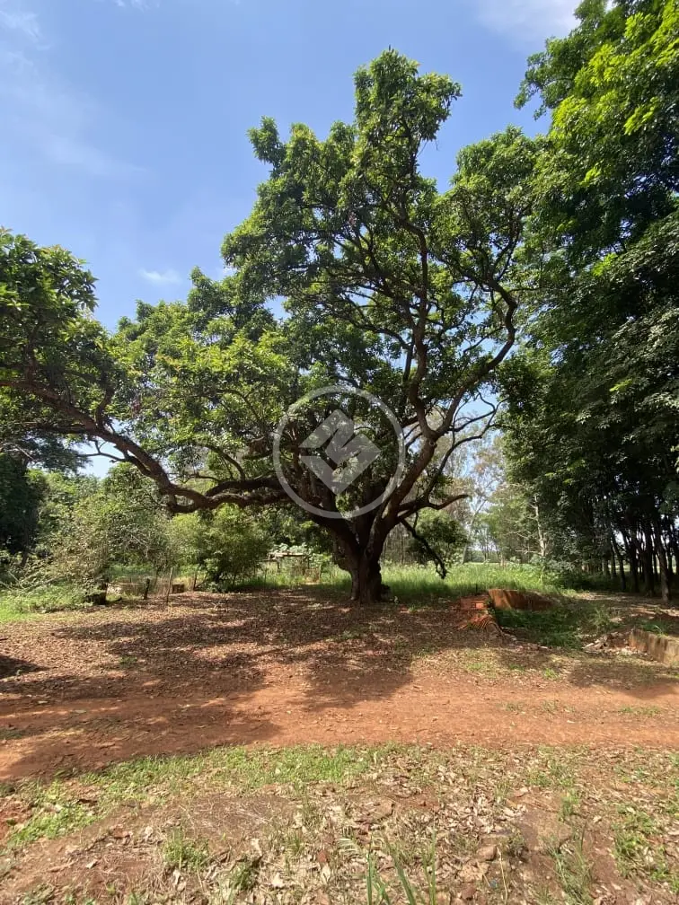 Imagem 5 - Chácara em Centro, Poloni - SP