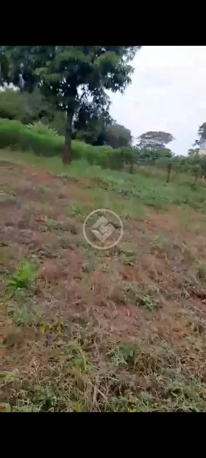 Imagem 2 - Chácara em Centro, Fronteira - MG