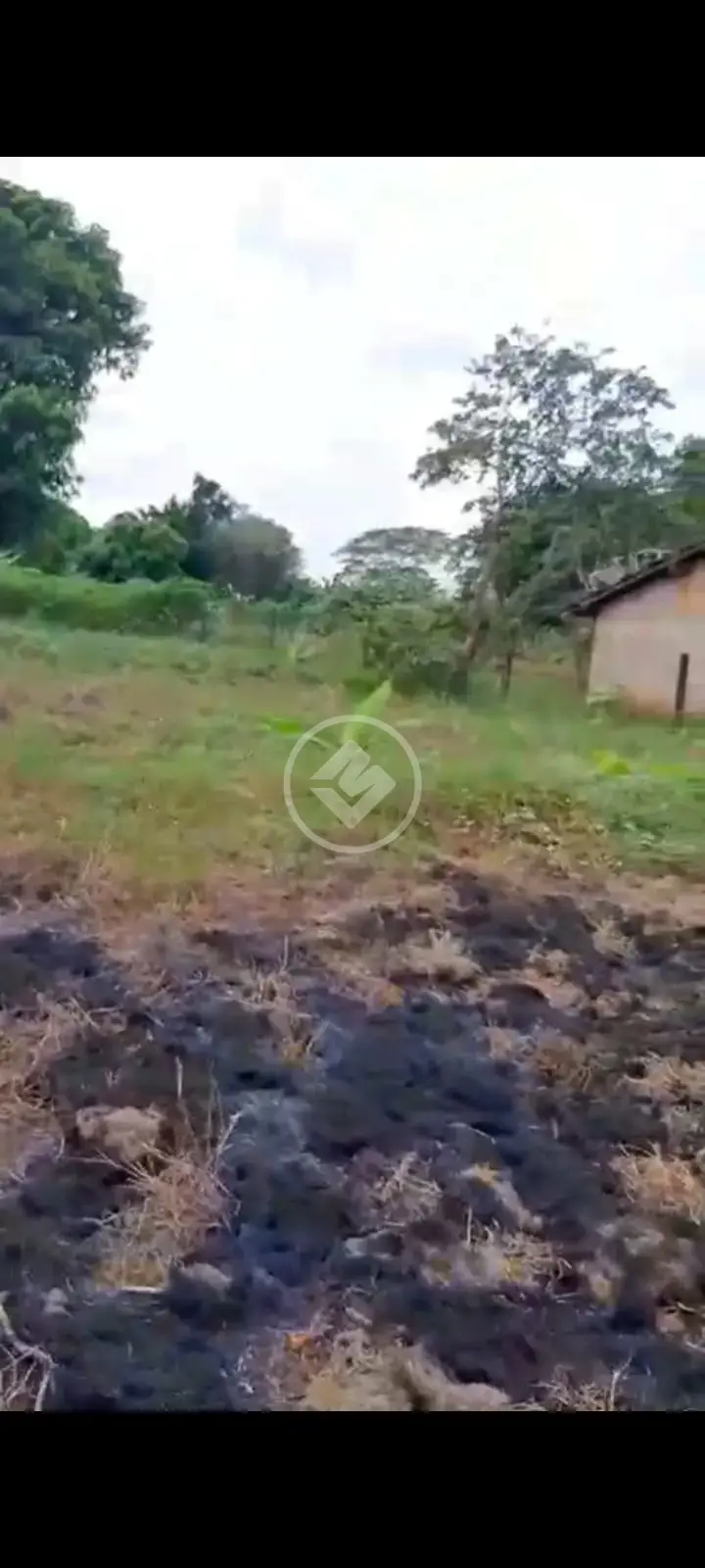 Imagem 3 - Chácara em Centro, Fronteira - MG
