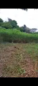 Imagem 4 - Chácara em Centro, Fronteira - MG