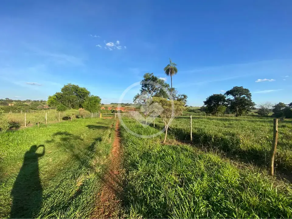 Imagem 2 - Sítio em Centro, Bady Bassitt - SP