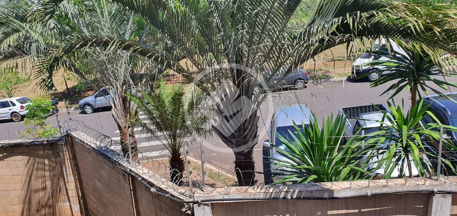Imagem 4 - Apartamento em Loteamento Clube V, São José do Rio Preto - SP