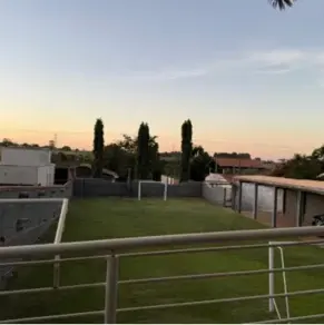 Imagem 4 - Chácara em Residencial Vista Alegre I (Zona Rural), São José do Rio Preto - SP