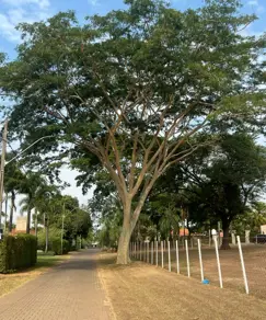 Terreno Condomínio Centro, Fronteira - MG — foto 2