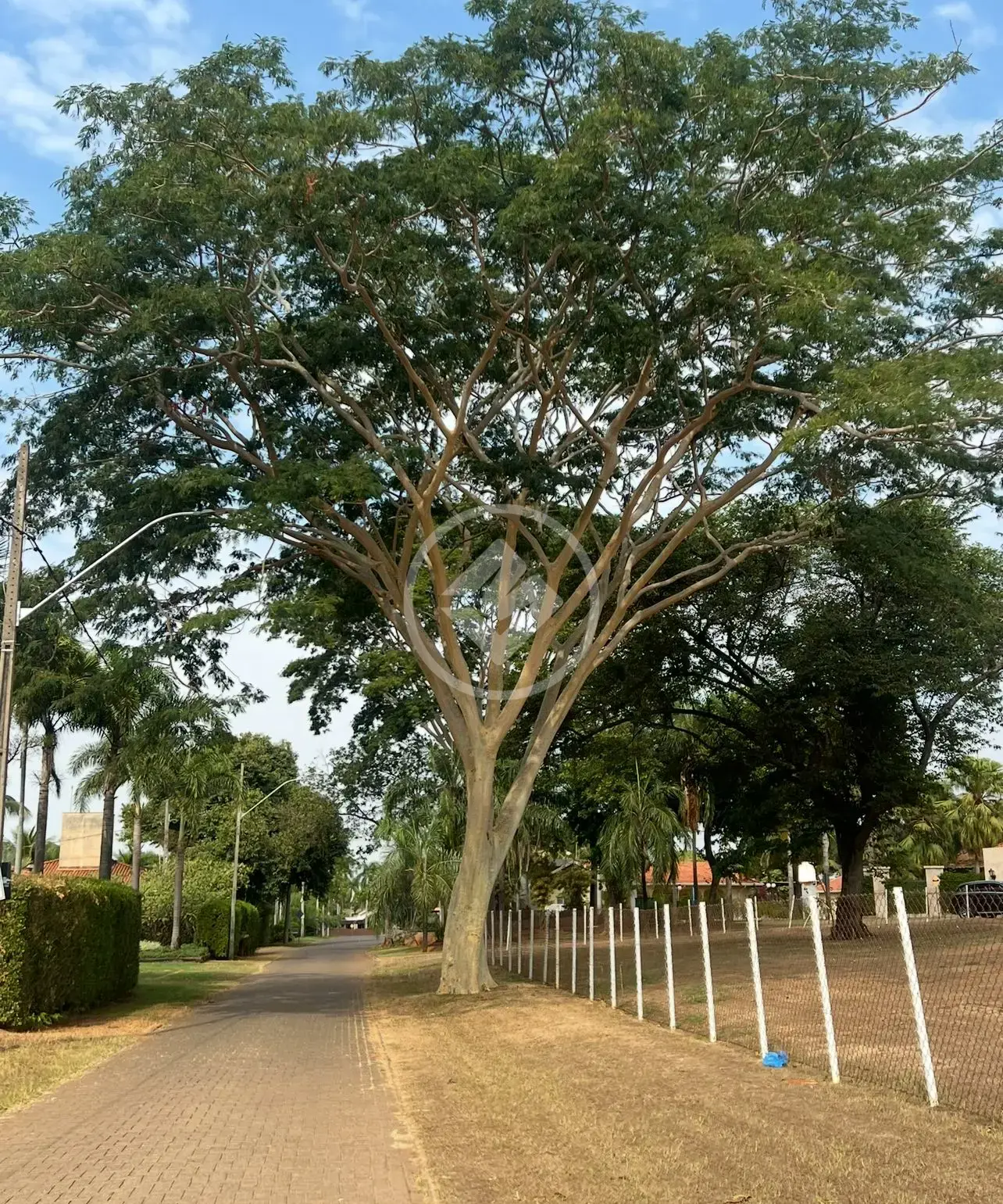 Imagem 1 - Terreno Condomínio em Centro, Fronteira - MG