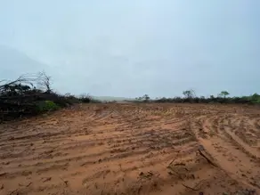 Imagem 2 - Fazenda em Centro, Serranópolis - GO