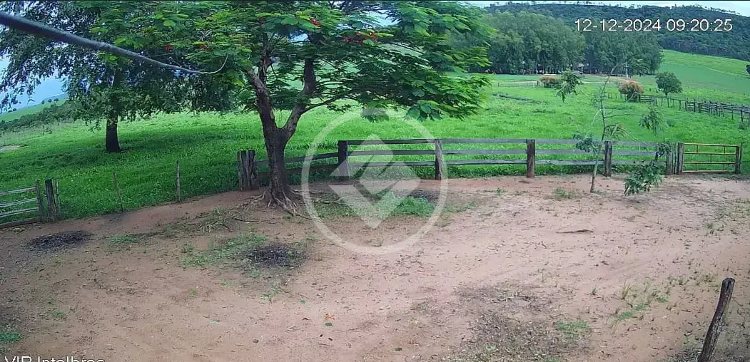 Imagem 1 - Fazenda em Centro, Serranópolis - GO