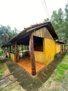 Imagem 5 - Fazenda em Centro, Serranópolis - GO
