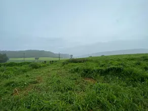 Imagem 4 - Fazenda em Centro, Serranópolis - GO