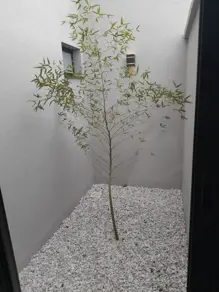 Imagem 3 - Casa em Residencial Canaã, Rio Verde - GO