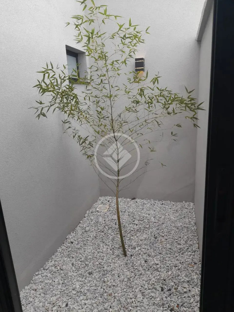 Imagem 3 - Casa em Residencial Canaã, Rio Verde - GO