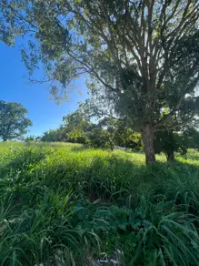 Imagem 2 - Terreno em Residencial Água Santa, Rio Verde - GO
