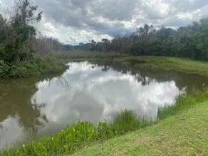Imagem 4 - Chácara em Área Rural de Rio Verde, Rio Verde - GO