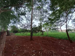 Imagem 2 - Chácara em Área Rural de Rio Verde, Rio Verde - GO