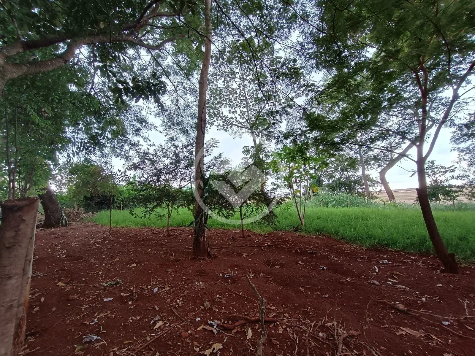 Imagem 2 - Chácara em Área Rural de Rio Verde, Rio Verde - GO
