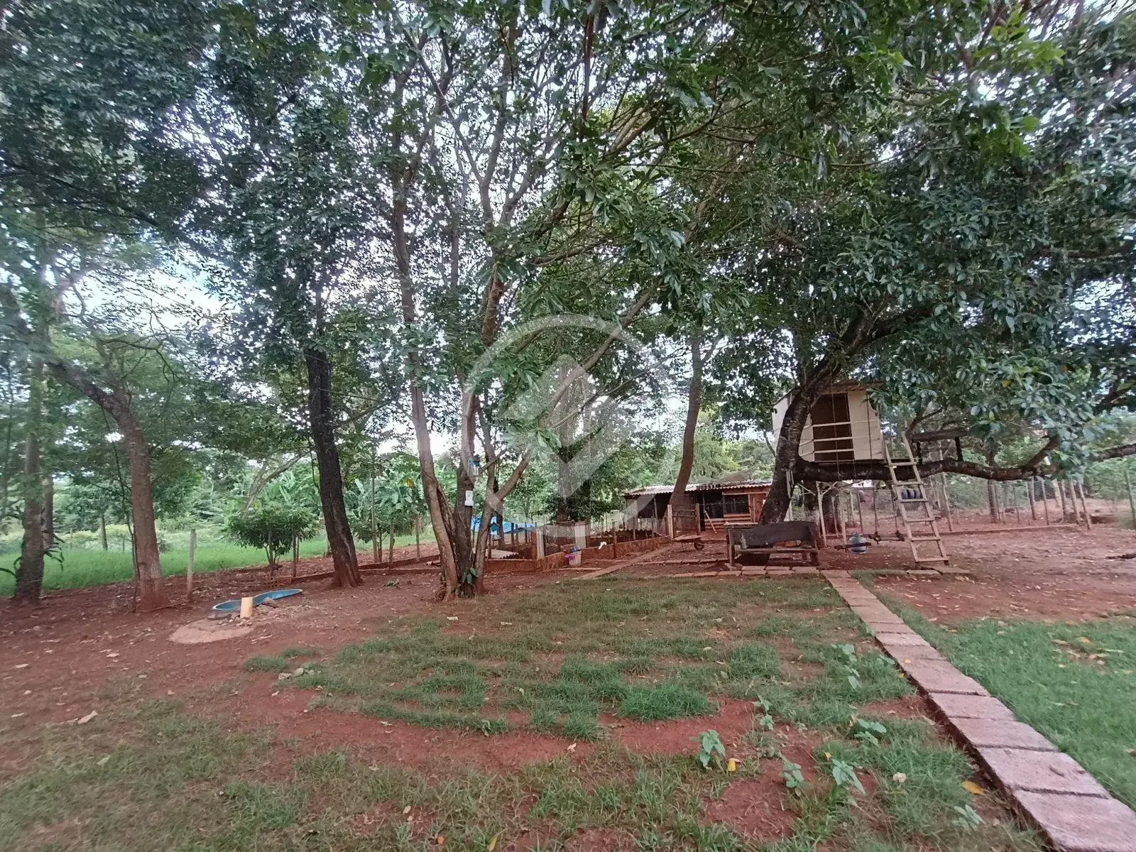 Imagem 3 - Chácara em Área Rural de Rio Verde, Rio Verde - GO