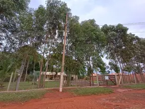 Imagem 6 - Chácara em Área Rural de Rio Verde, Rio Verde - GO