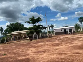 Imagem 4 - Fazenda em Zona Rural, Doverlândia - GO