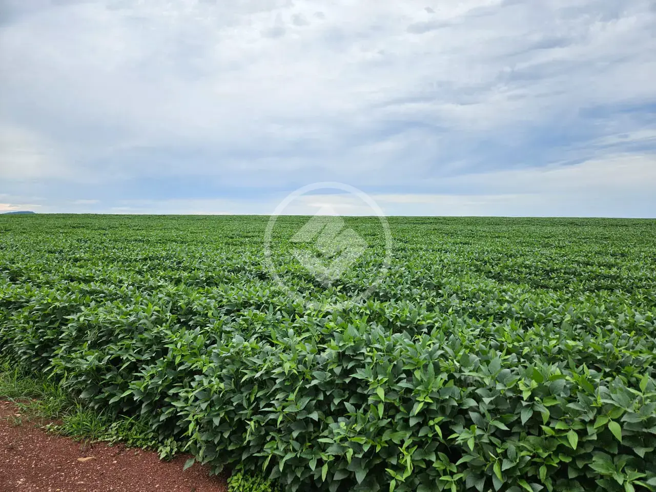 Image 8 - Fazenda em Zona Rural, Doverlândia - GO