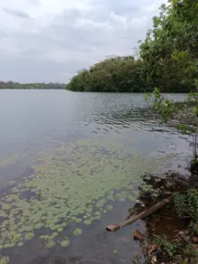 Imagem 3 - Chácara em Zona Rural, Caçu - GO