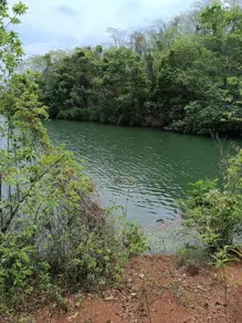 Imagem 4 - Chácara em Zona Rural, Caçu - GO