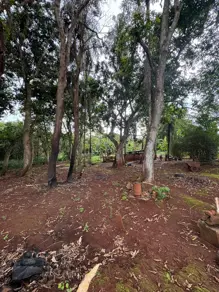 Chácara Bairro São Tomaz das Abóboras, Rio Verde - GO — foto 1