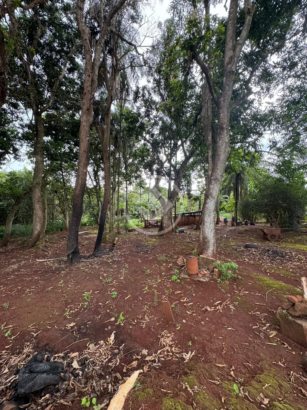 Imagem 1 - Chácara em Bairro São Tomaz das Abóboras, Rio Verde - GO