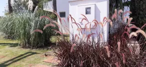 Imagem 4 - Casa em Residencial Parque dos Ipês, Rio Verde - GO