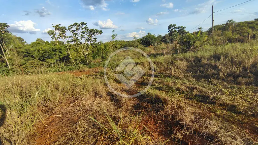 Imagem 2 - Chácara em São Tomaz Zona Rural, Rio Verde - GO