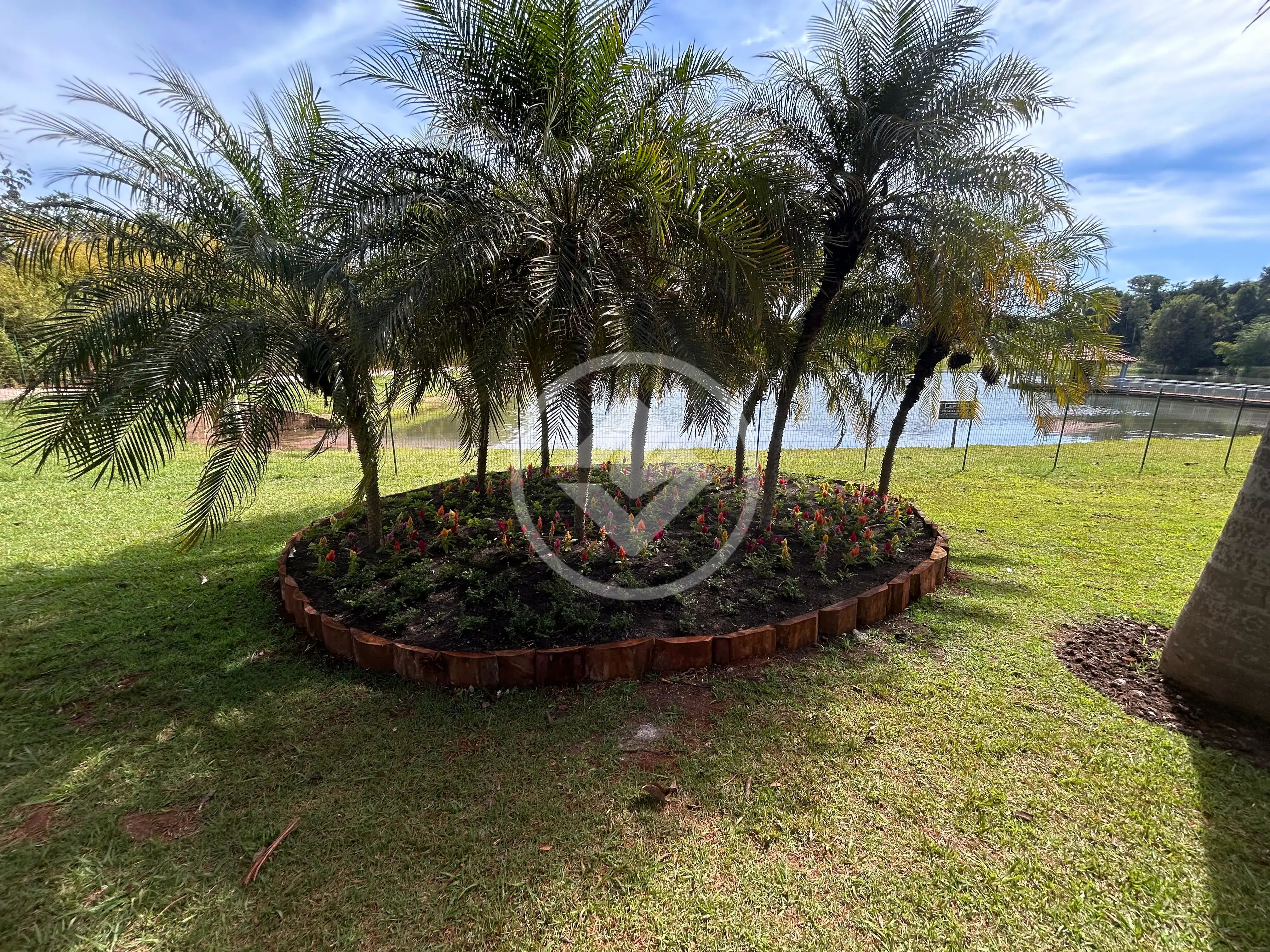 Imagem 5 - Terreno em Parque das Oliveiras, Rio Verde - GO