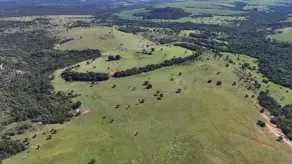 Imagem 4 - Fazenda em Zona Rural, Mineiros - GO