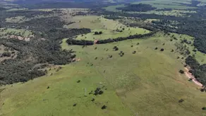 Imagem 3 - Fazenda em Zona Rural, Mineiros - GO