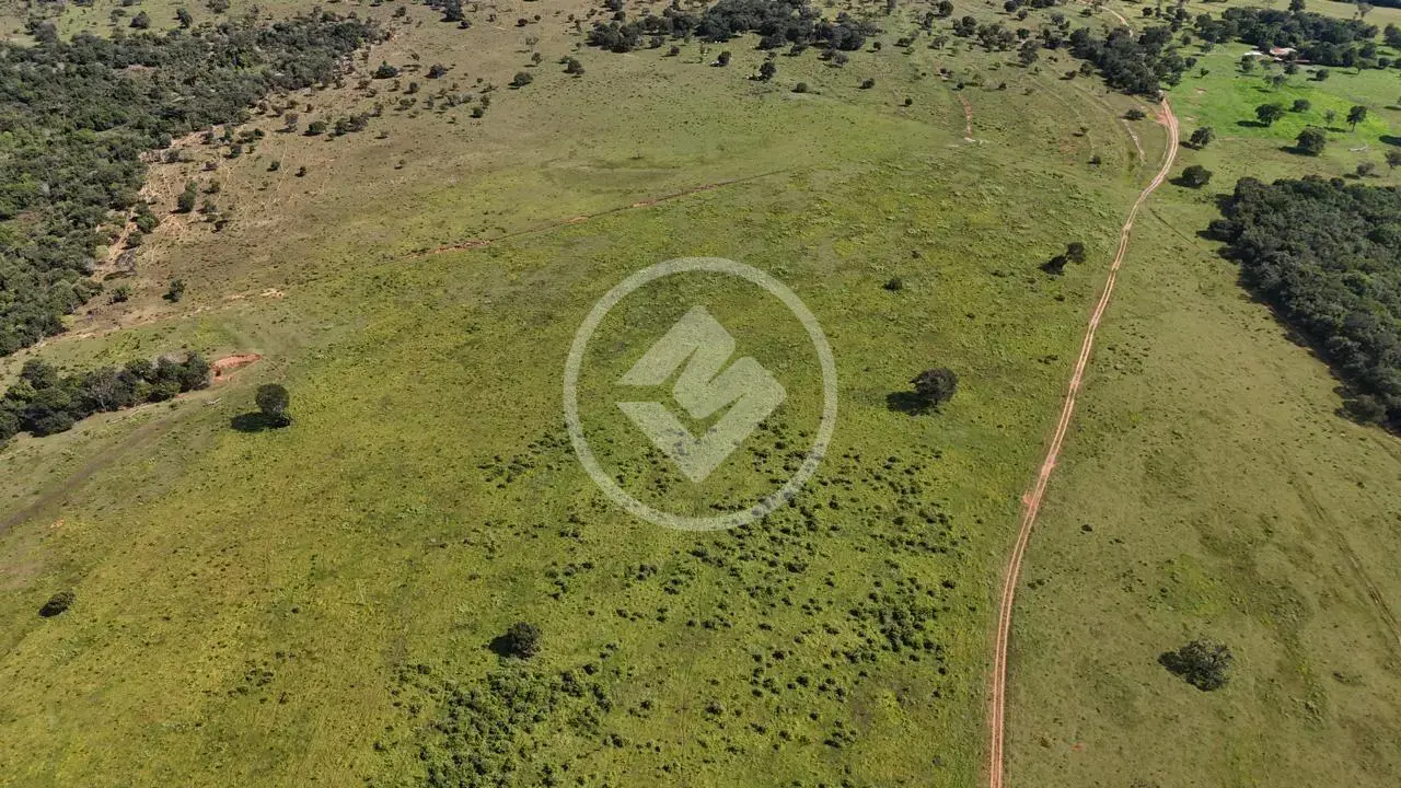 Image 10 - Fazenda em Zona Rural, Mineiros - GO