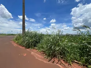 Imagem 2 - Terreno em Residencial Campos Elíseos, Rio Verde - GO
