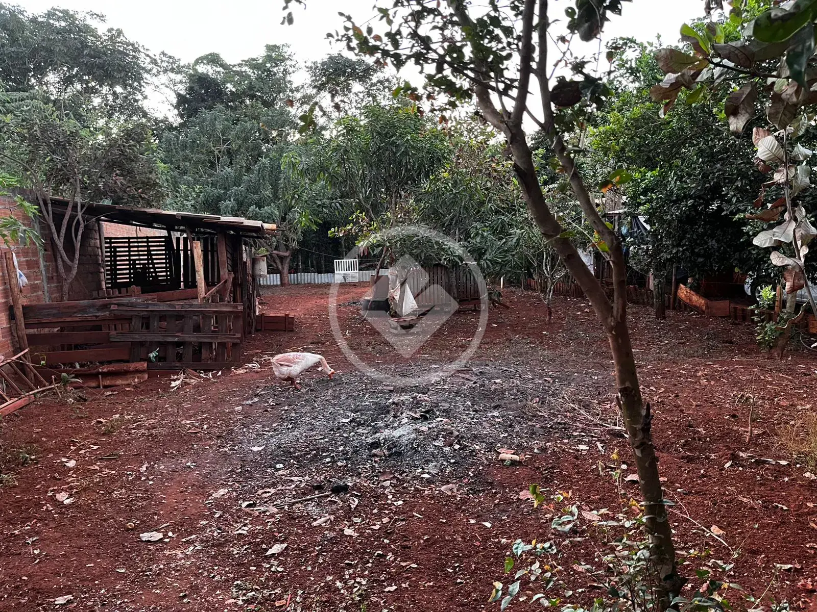 Imagem 2 - Chácara em Área Rural de Rio Verde, Rio Verde - GO