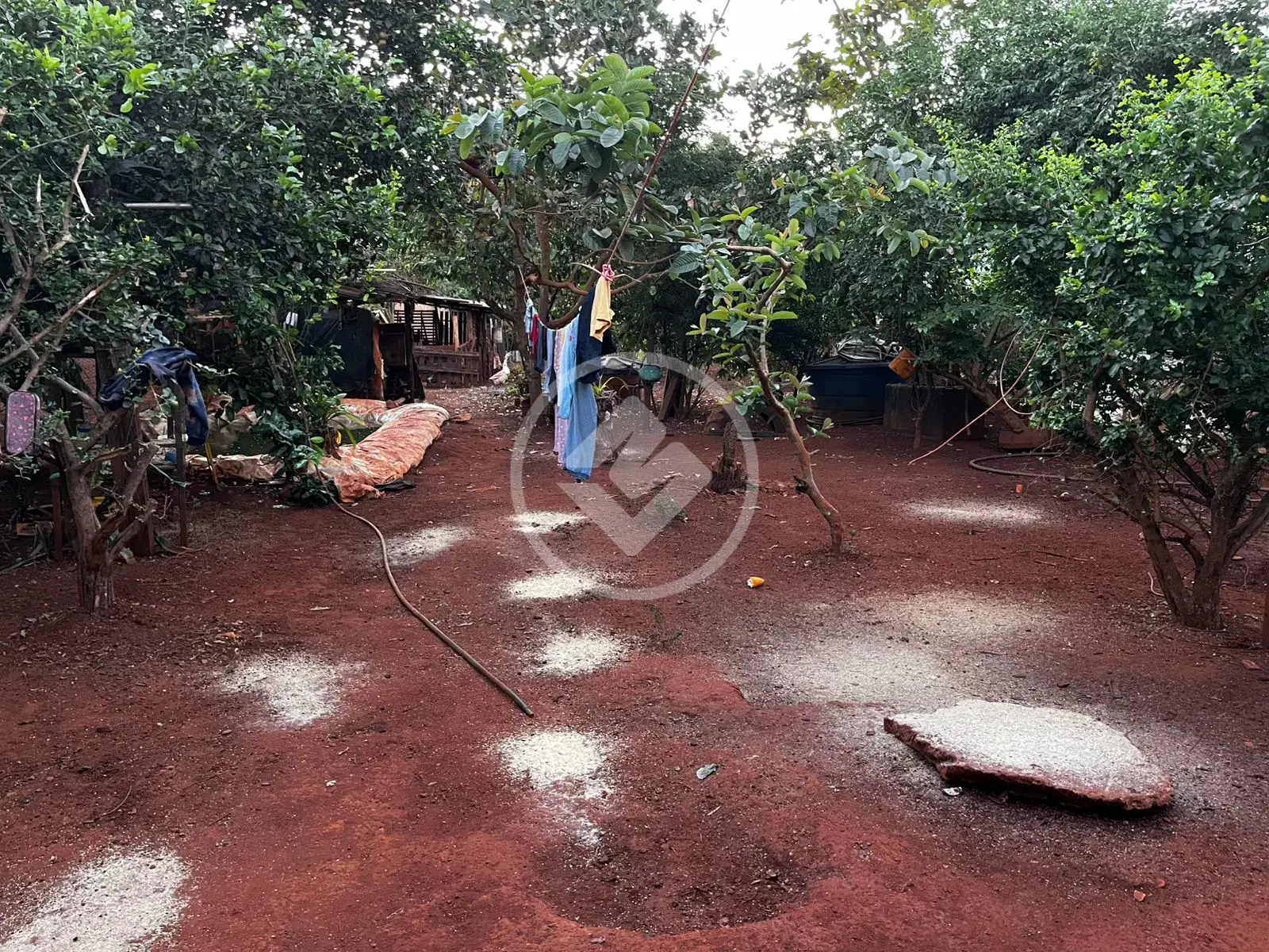 Imagem 3 - Chácara em Área Rural de Rio Verde, Rio Verde - GO