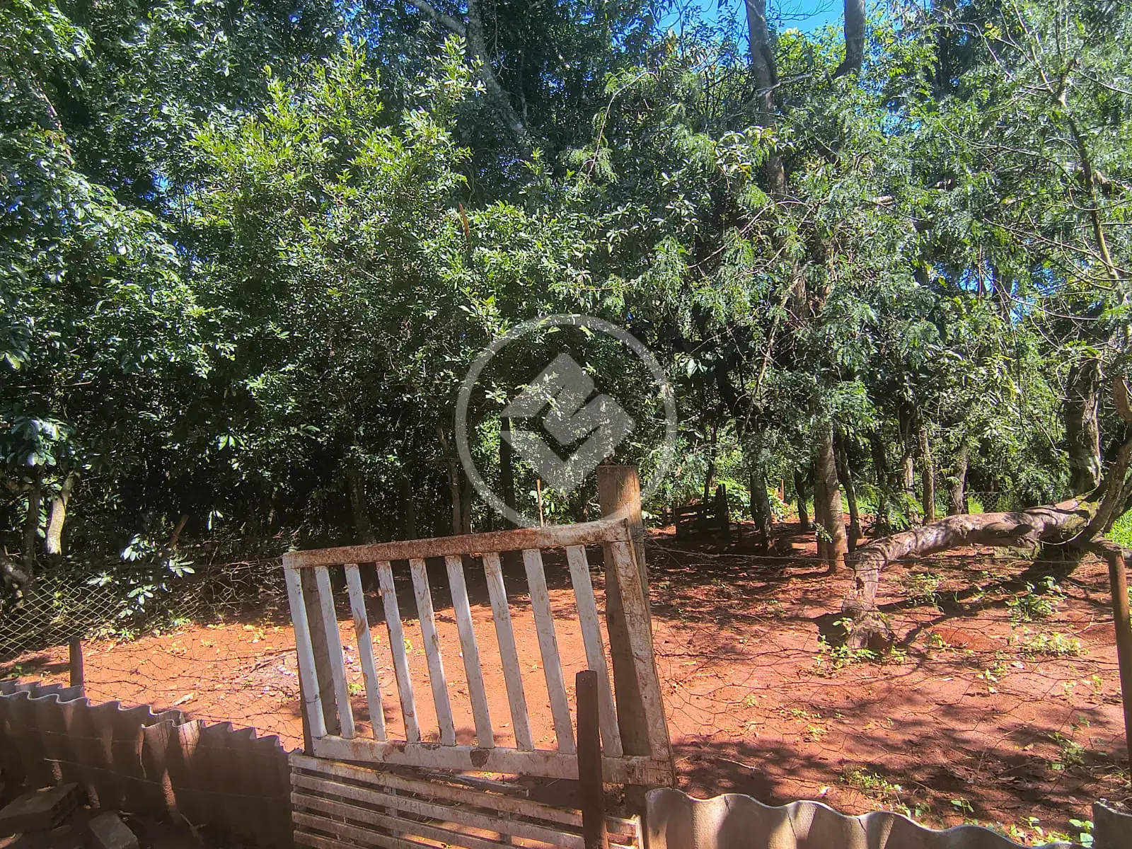 Imagem 1 - Chácara em Área Rural de Rio Verde, Rio Verde - GO