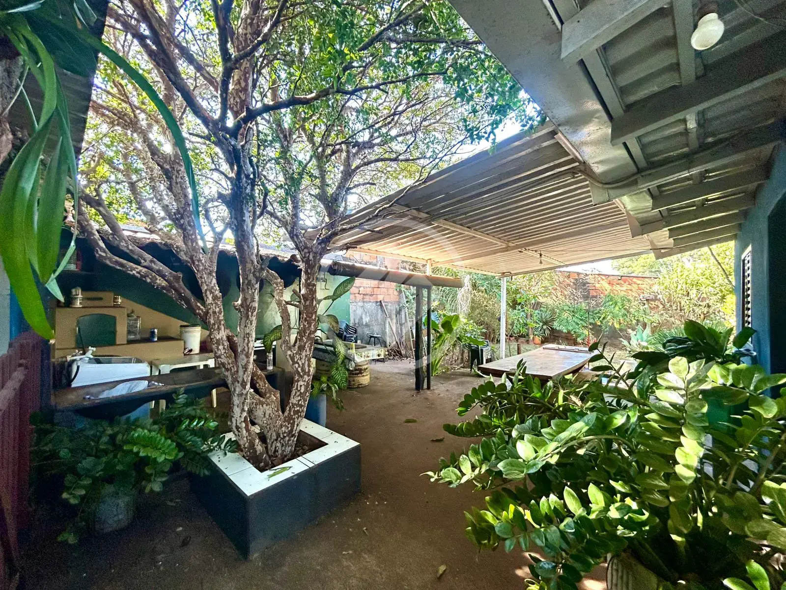 Imagem 3 - Casa em Popular, Rio Verde - GO