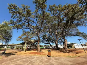 Imagem 5 - Terreno em Condomínio Vale das Araras, Rio Verde - GO