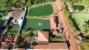 Imagem 3 - Chácara em Zona Rural, Rio Verde - GO