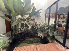 Imagem 5 - Sítio em Zona Rural, Rio Verde - GO