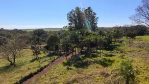 Imagem 3 - Fazenda em Zona Rural, Rio Verde - GO