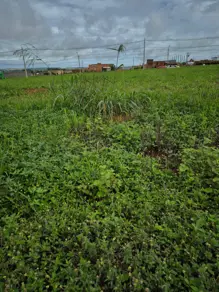 Terreno Residencial Recanto das Emas, Rio Verde - GO — foto 1