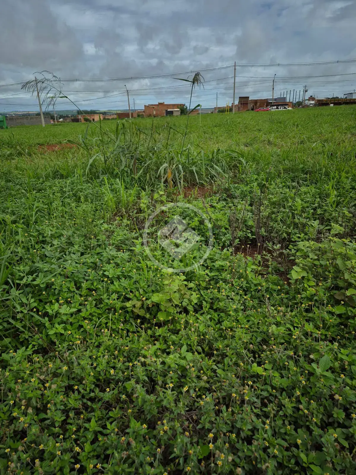 Imagem 1 - Terreno em Residencial Recanto das Emas, Rio Verde - GO