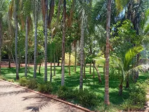 Imagem 5 - Chácara em Área Rural de Rio Verde, Rio Verde - GO