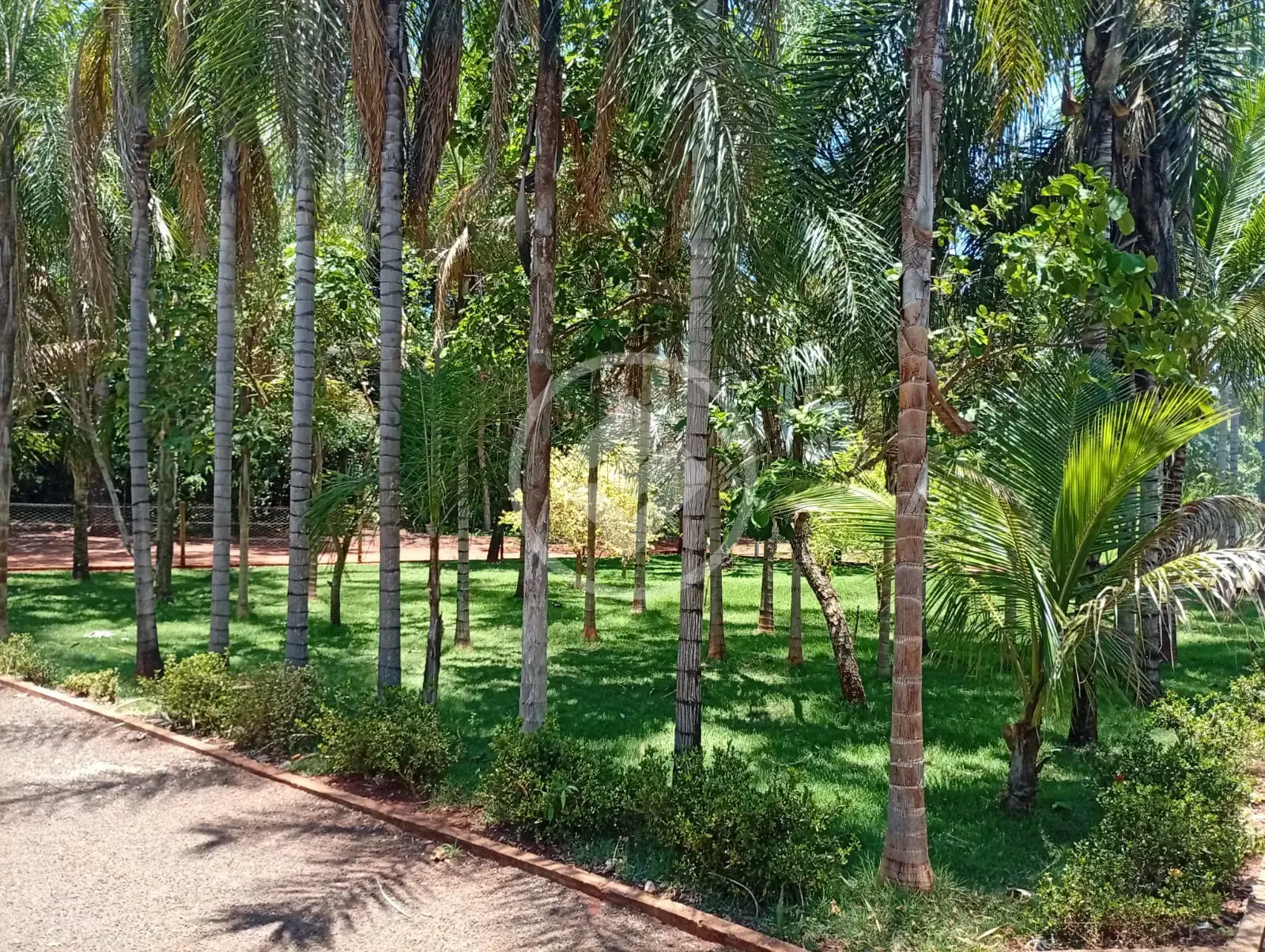 Imagem 5 - Chácara em Área Rural de Rio Verde, Rio Verde - GO