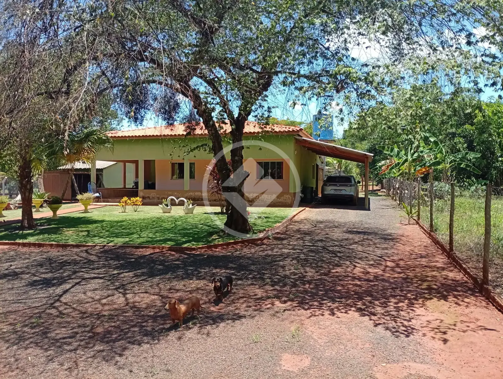 Imagem 6 - Chácara em Área Rural de Rio Verde, Rio Verde - GO